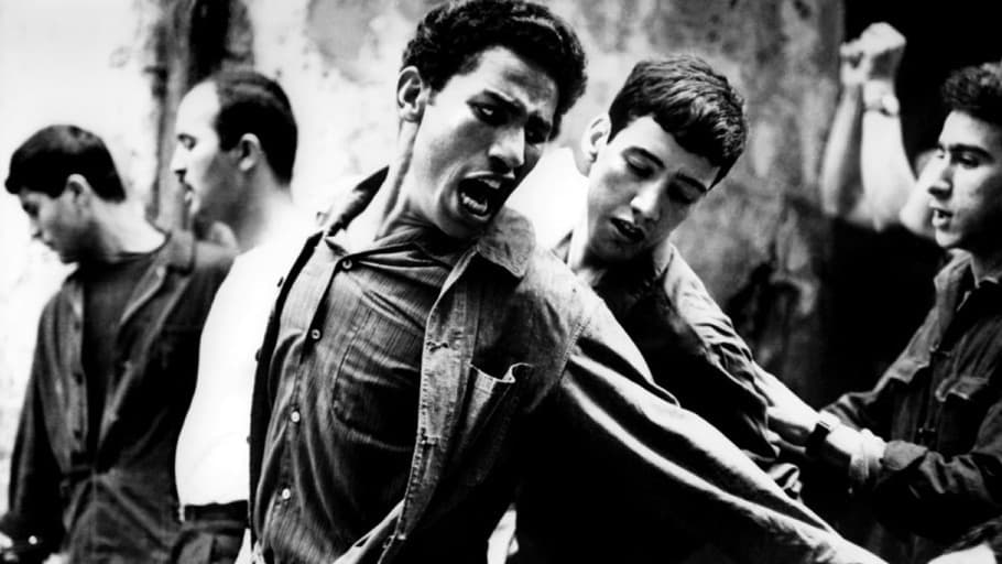 La Bataille d'Alger ( 1966 )